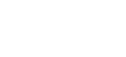 logo zs mobile